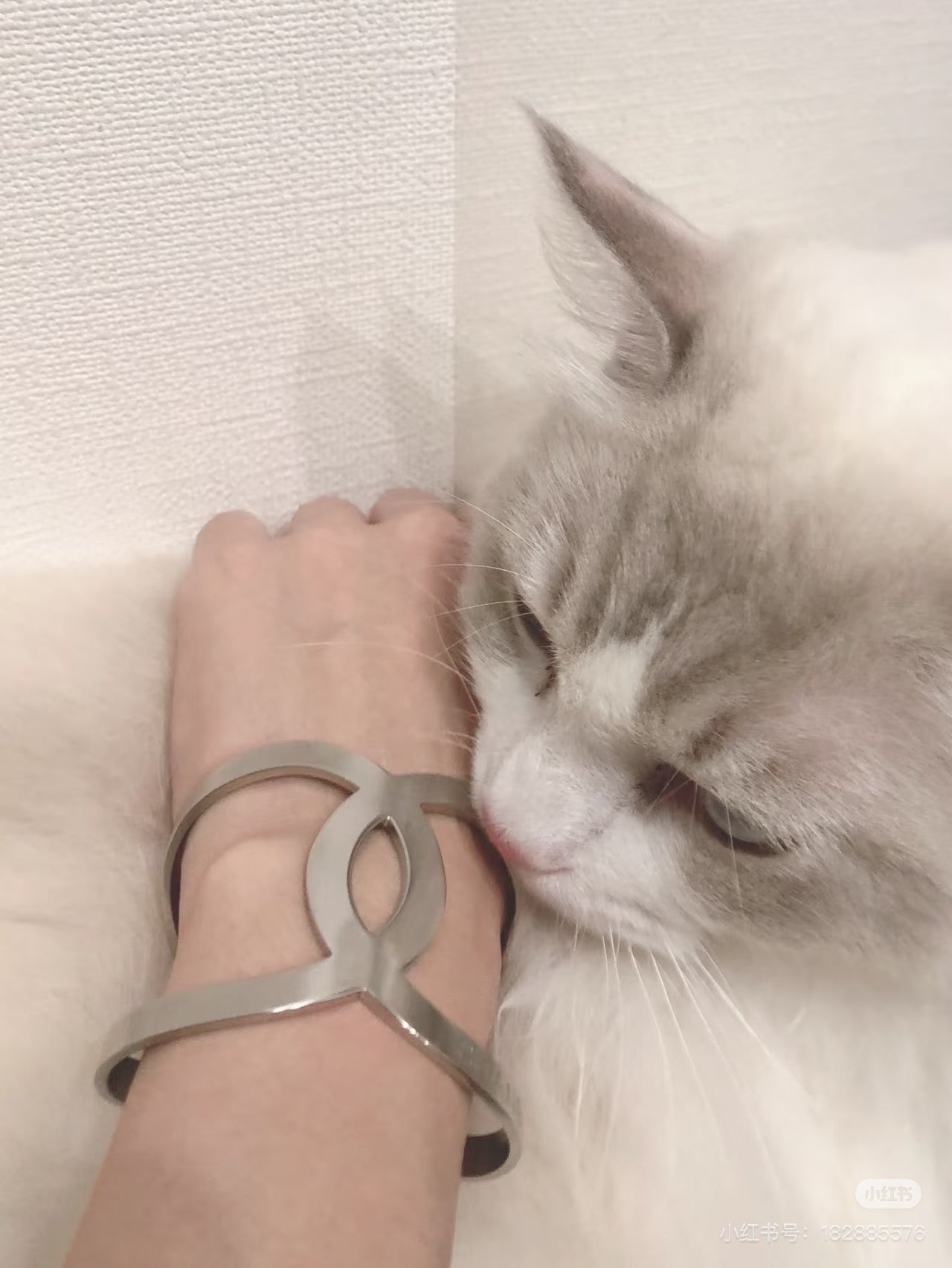 Silver-tone Chanel cuff bracelet on cat paw