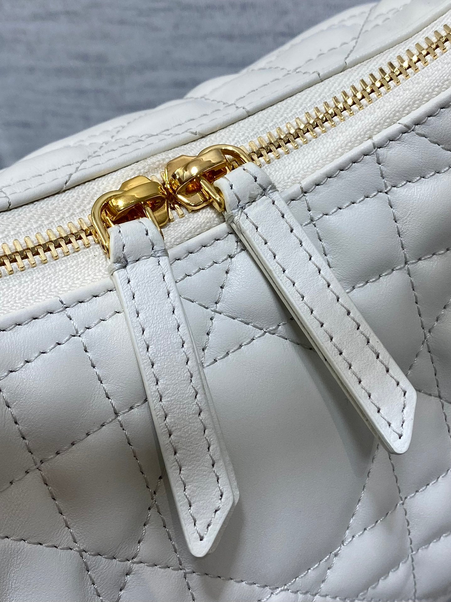 Dior Bags