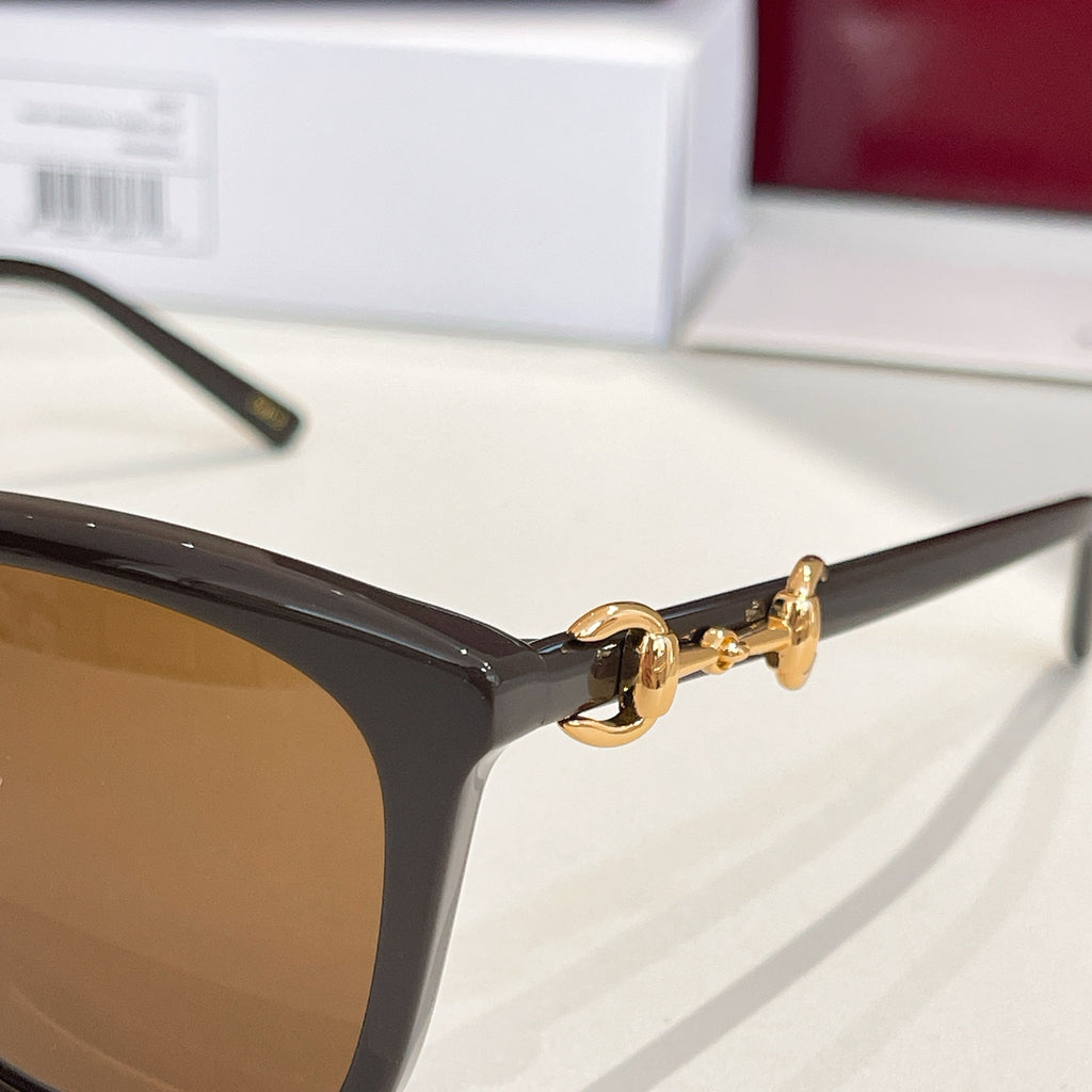 Gucci sunglasses close-up with black frame, gold detail, and brown tinted lens