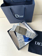Dior belt set: blue monogram strap with silver buckle and beige underside