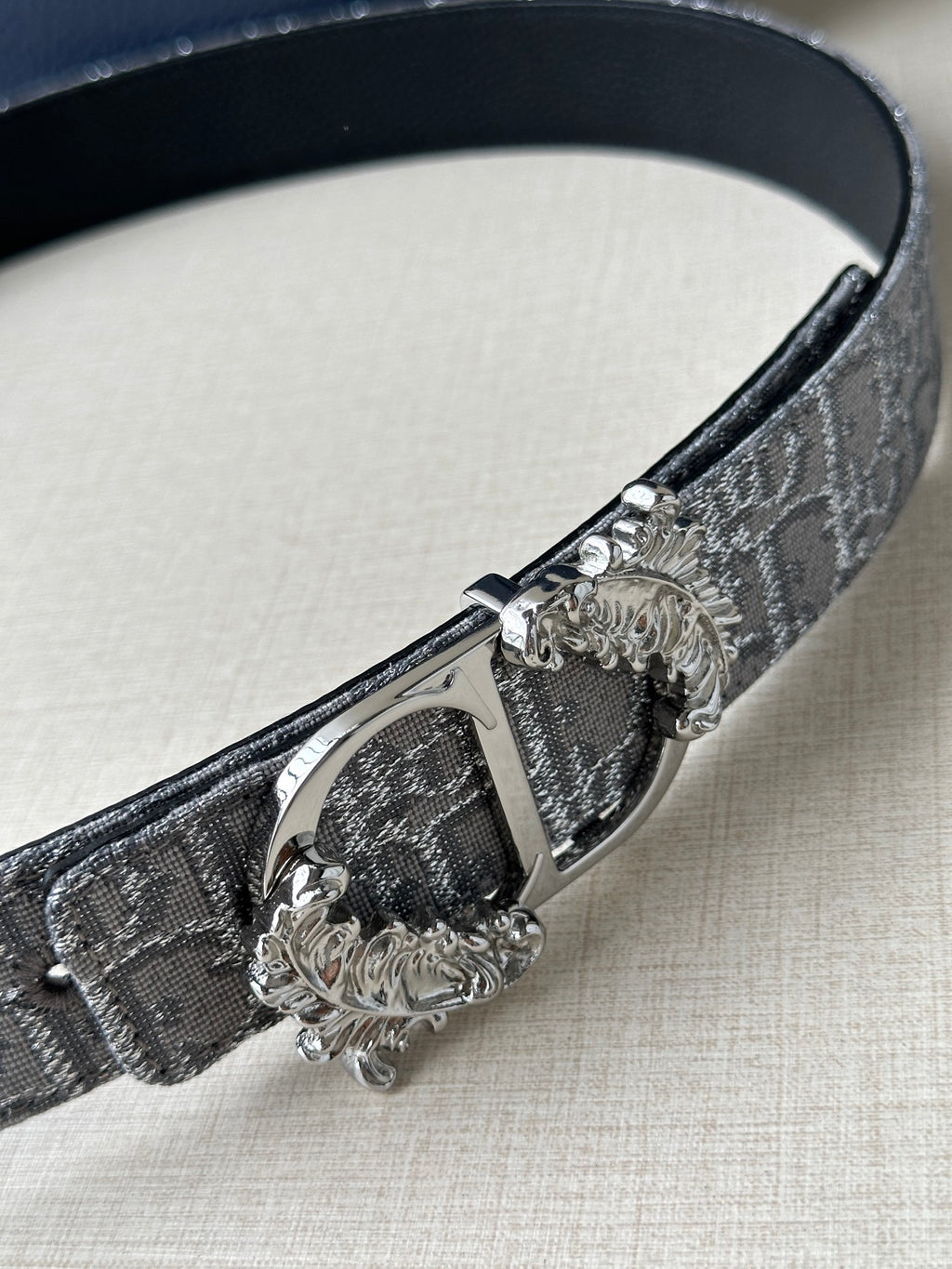 Dior logo-print belt close-up: silver-gray strap with metal buckle and bar clasp.