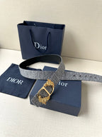 Dior logo-print belt with silver-gray strap and gold-toned buckle, laid out.