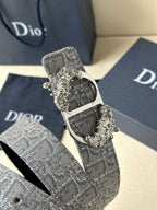 Dior logo-print belt with silver-gray strap and ornate metal buckle, angled view.