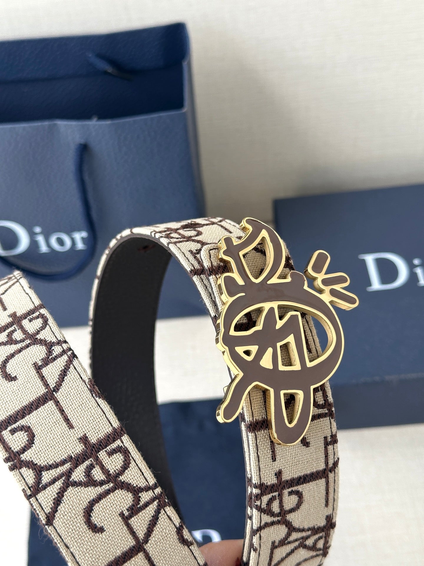 Dior belt close-up: beige logo strap with gold-toned emblem on clasp