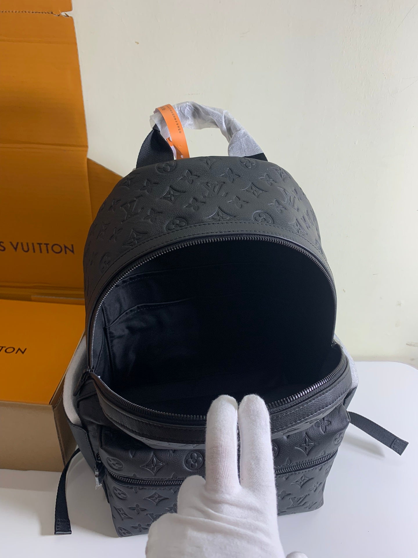 Louis Vuitton bag rear view with zip opening and adjustable top straps