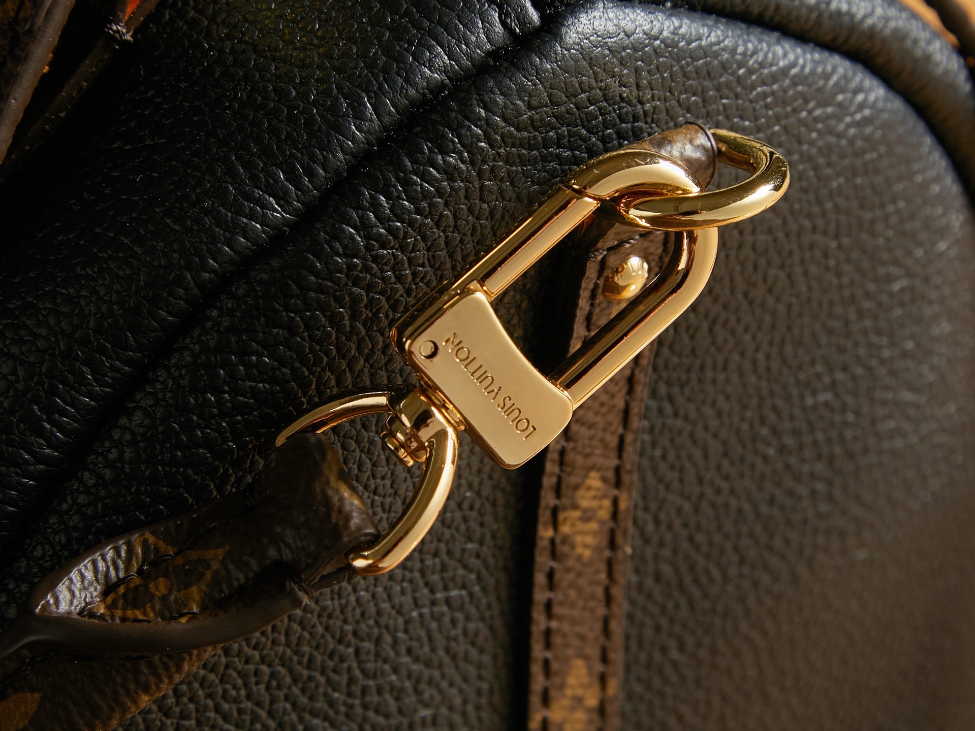 Louis Vuitton Bags