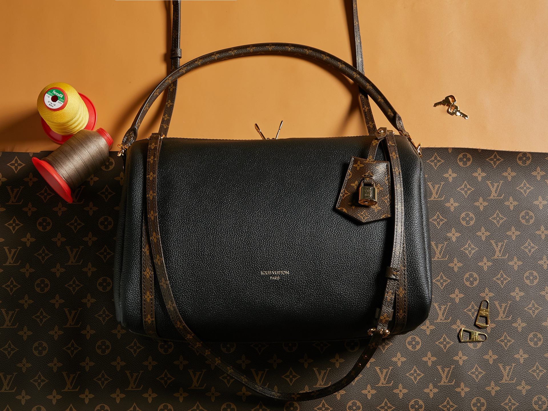 Louis Vuitton Bags