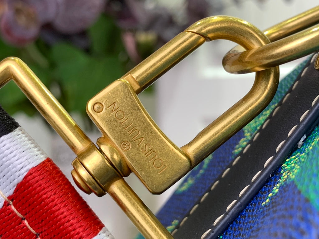 Louis Vuitton gold D-ring and hardware on multicolor striped bag strap