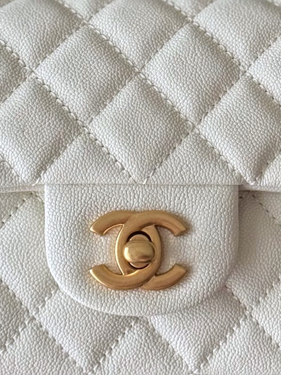 Chanel Bags