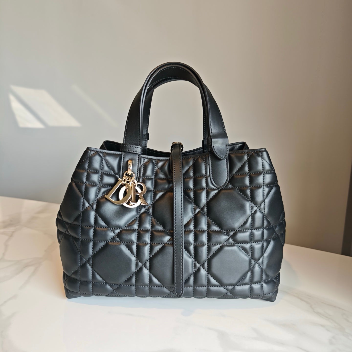 Dior Bags