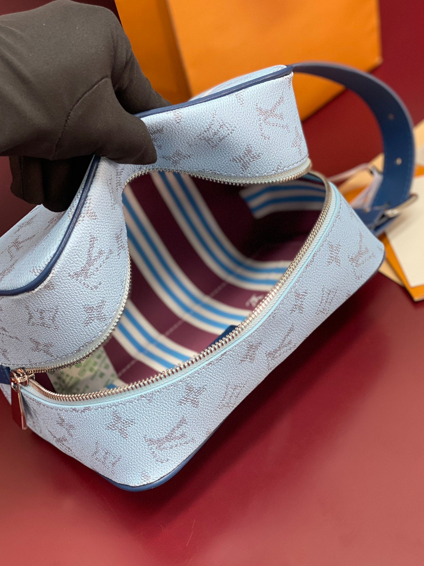 Louis Vuitton Bags