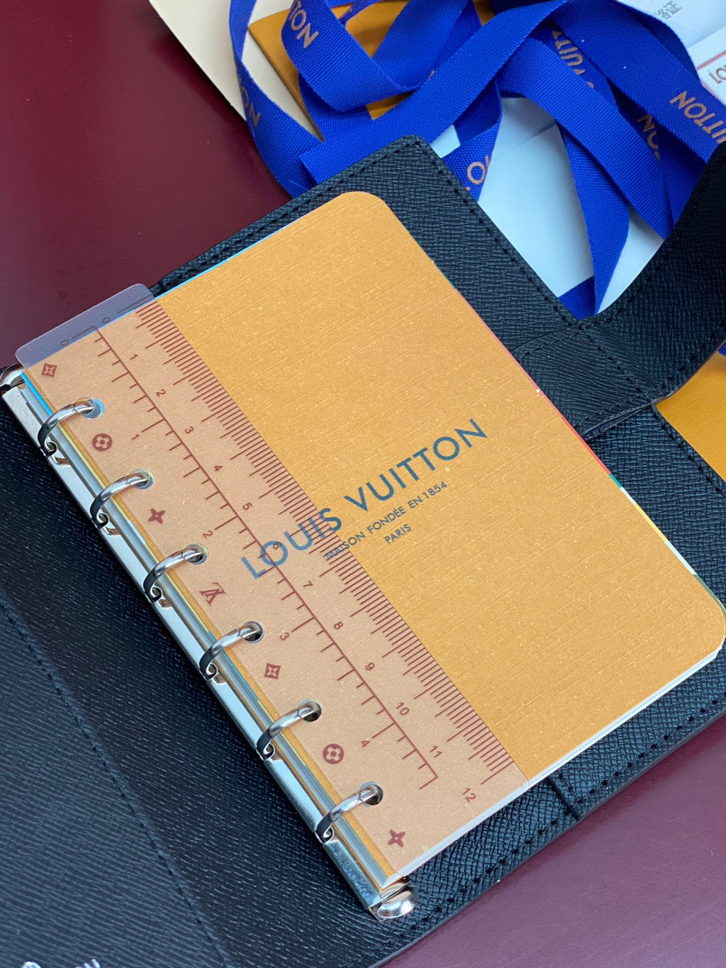Louis Vuitton small bag open, ruler insert visible under clear cover panel