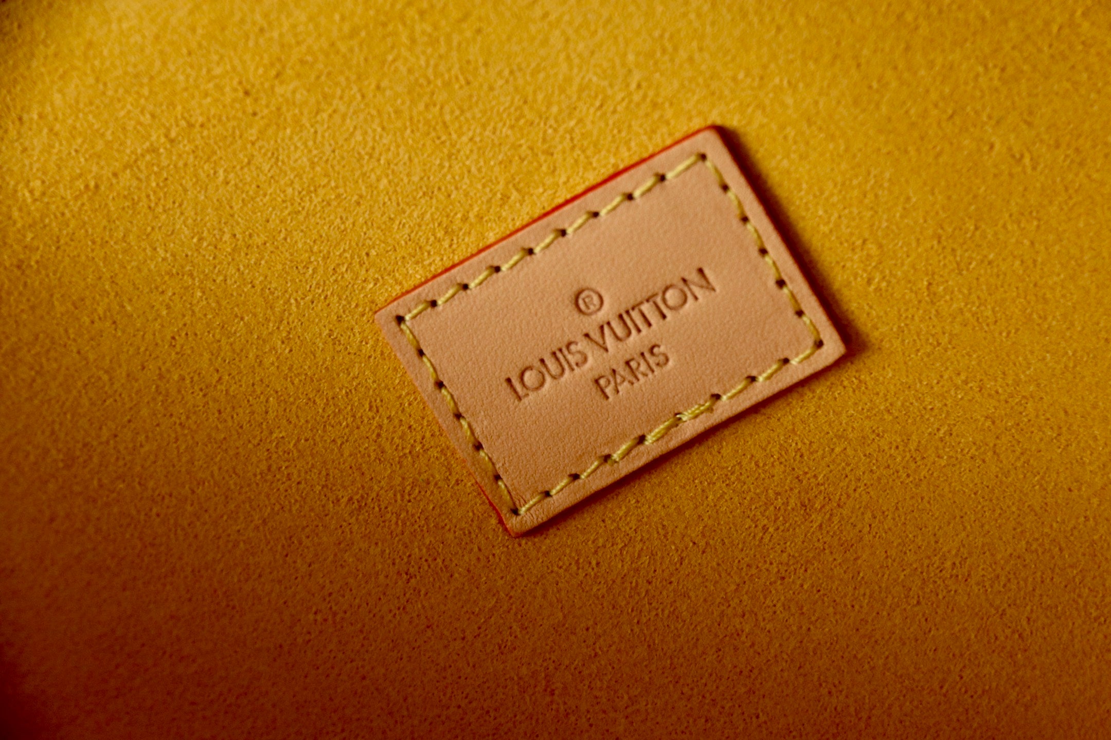 Louis Vuitton Bags