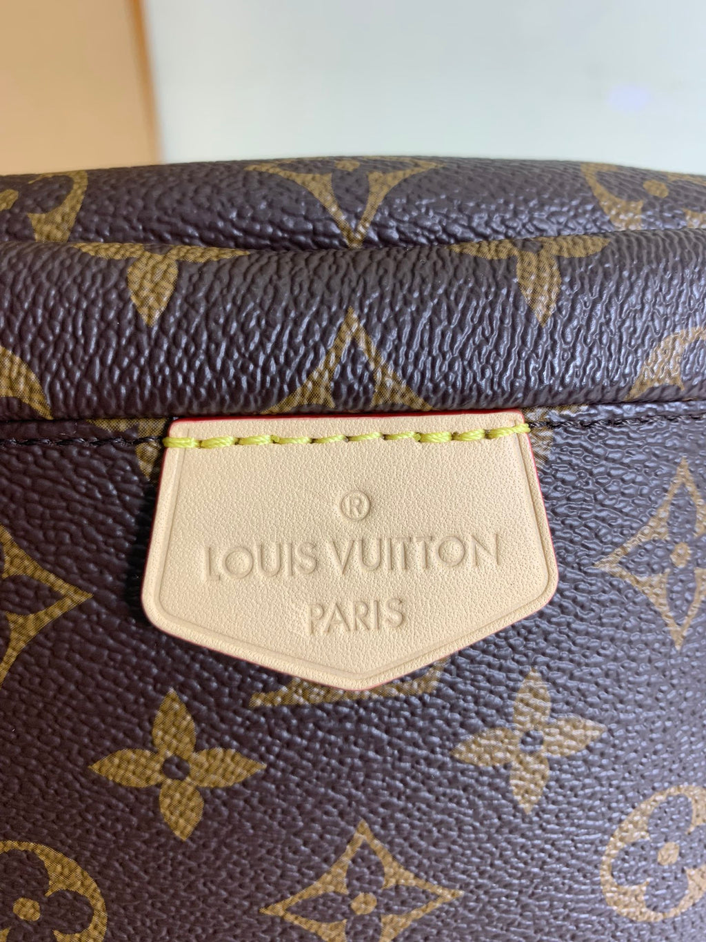 Louis Vuitton monogram bag logo patch on brown coated canvas, close-up.