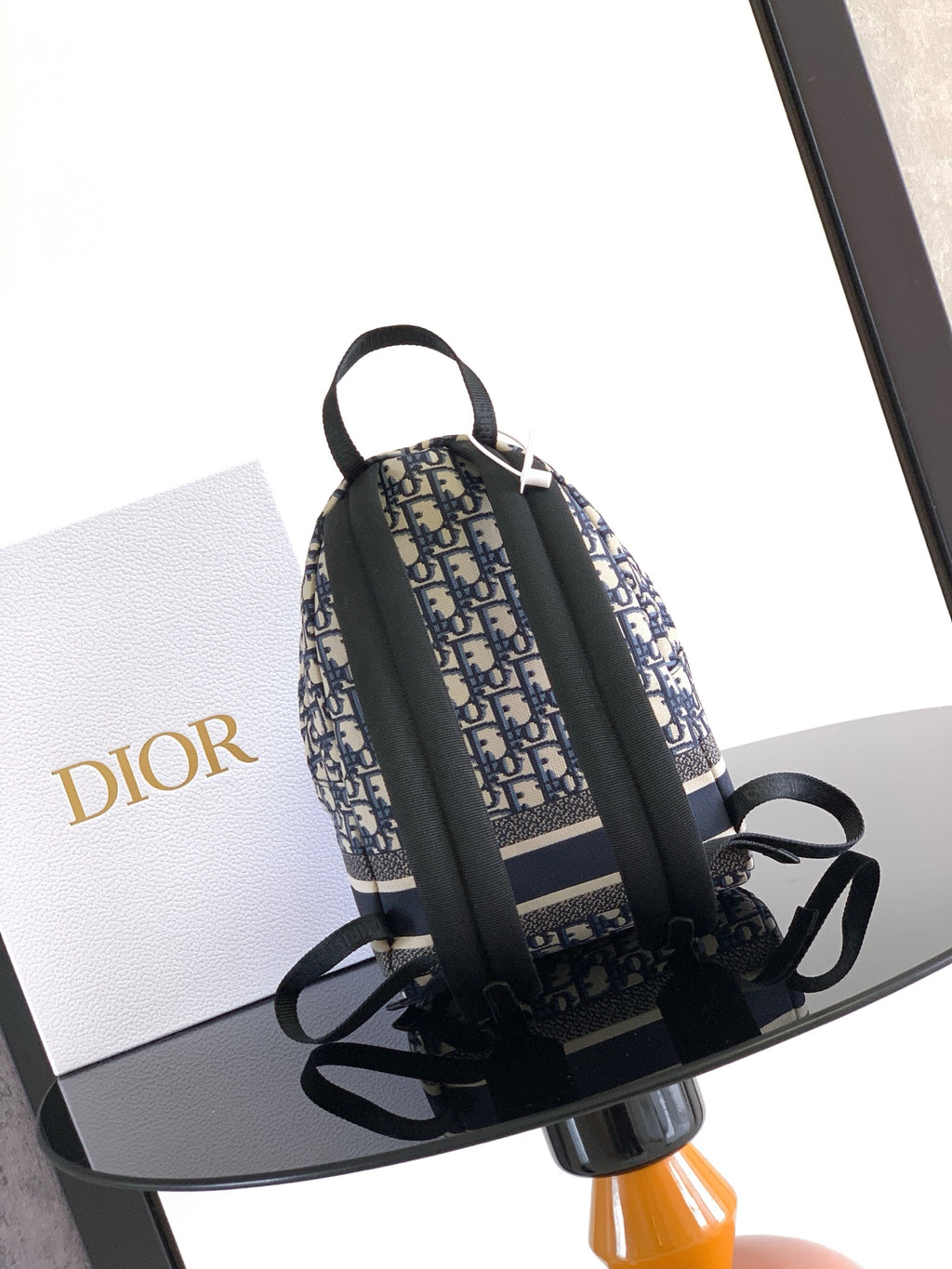 Men’s Dior backpack back view with black web straps on blue/cream logo canvas