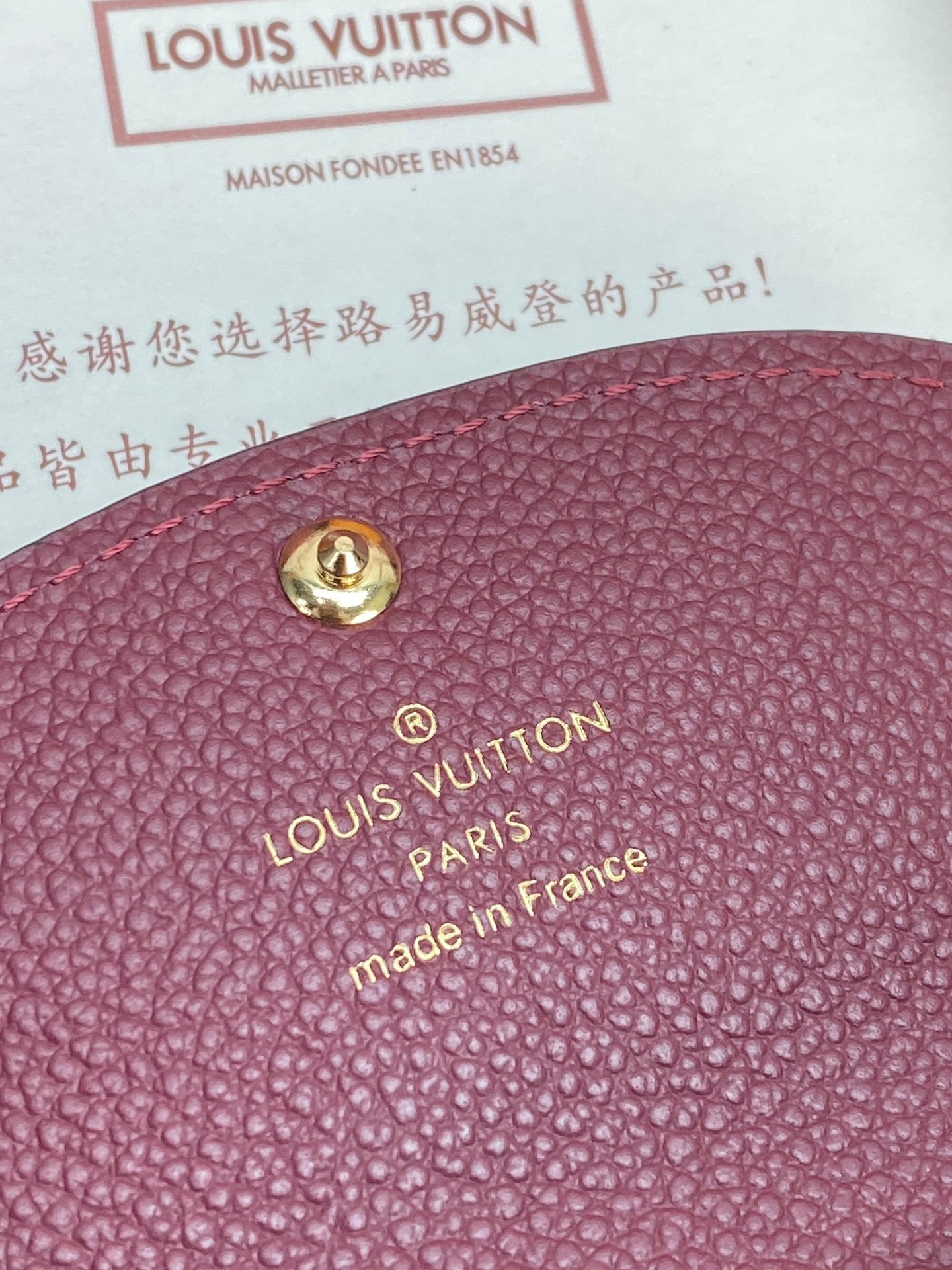 Small Louis Vuitton monogram bag close-up with gold emblem stud on dark plum leather