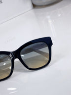 Cat-eye sunglasses close-up with dark frame and tinted lens