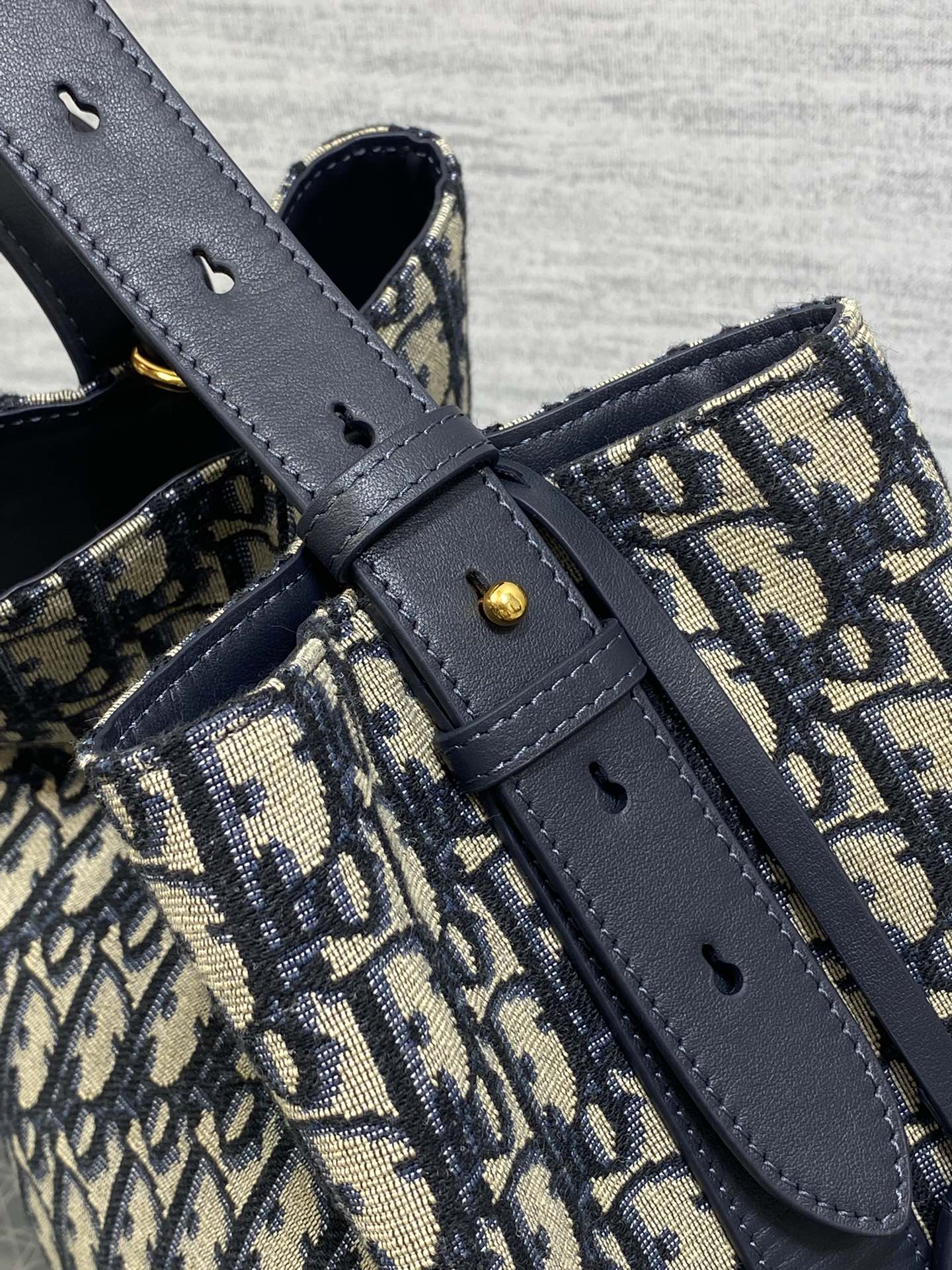 Dior canvas bag with navy leather straps and gold-tone hardware, close-up