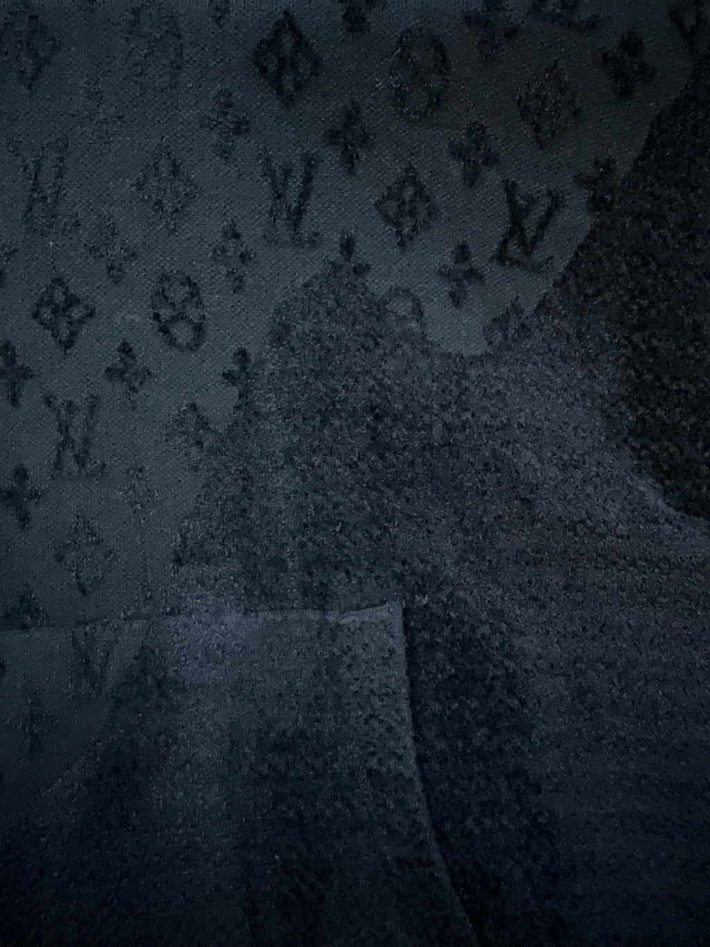 Louis Vuitton monogram fabric close-up with repeating pattern and seam detail