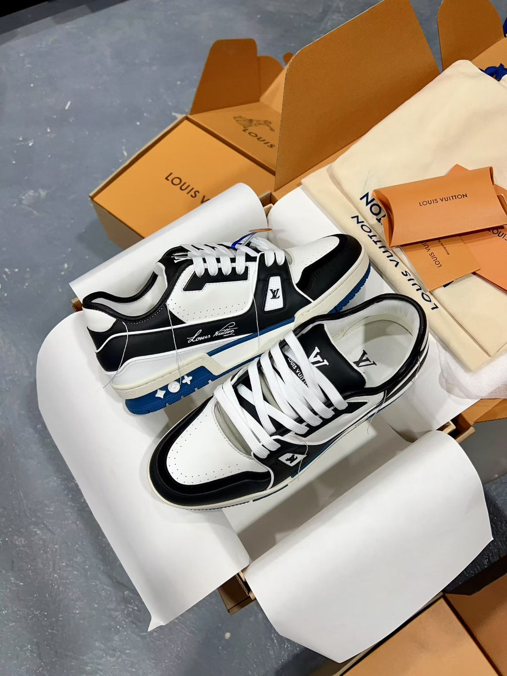 Luxury Shoes Louis Vuitton Trainer