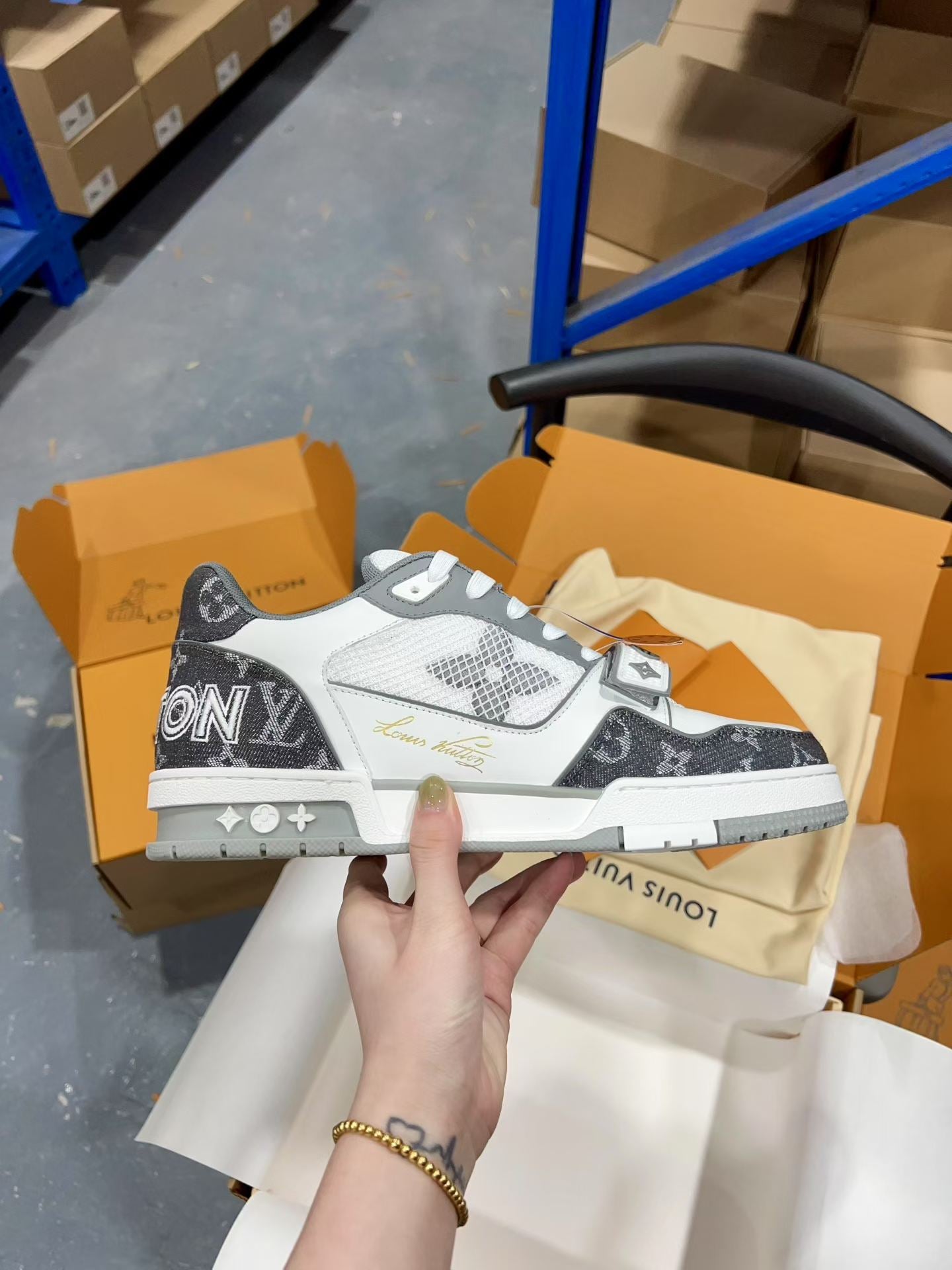 Luxury Shoes Louis Vuitton Trainer