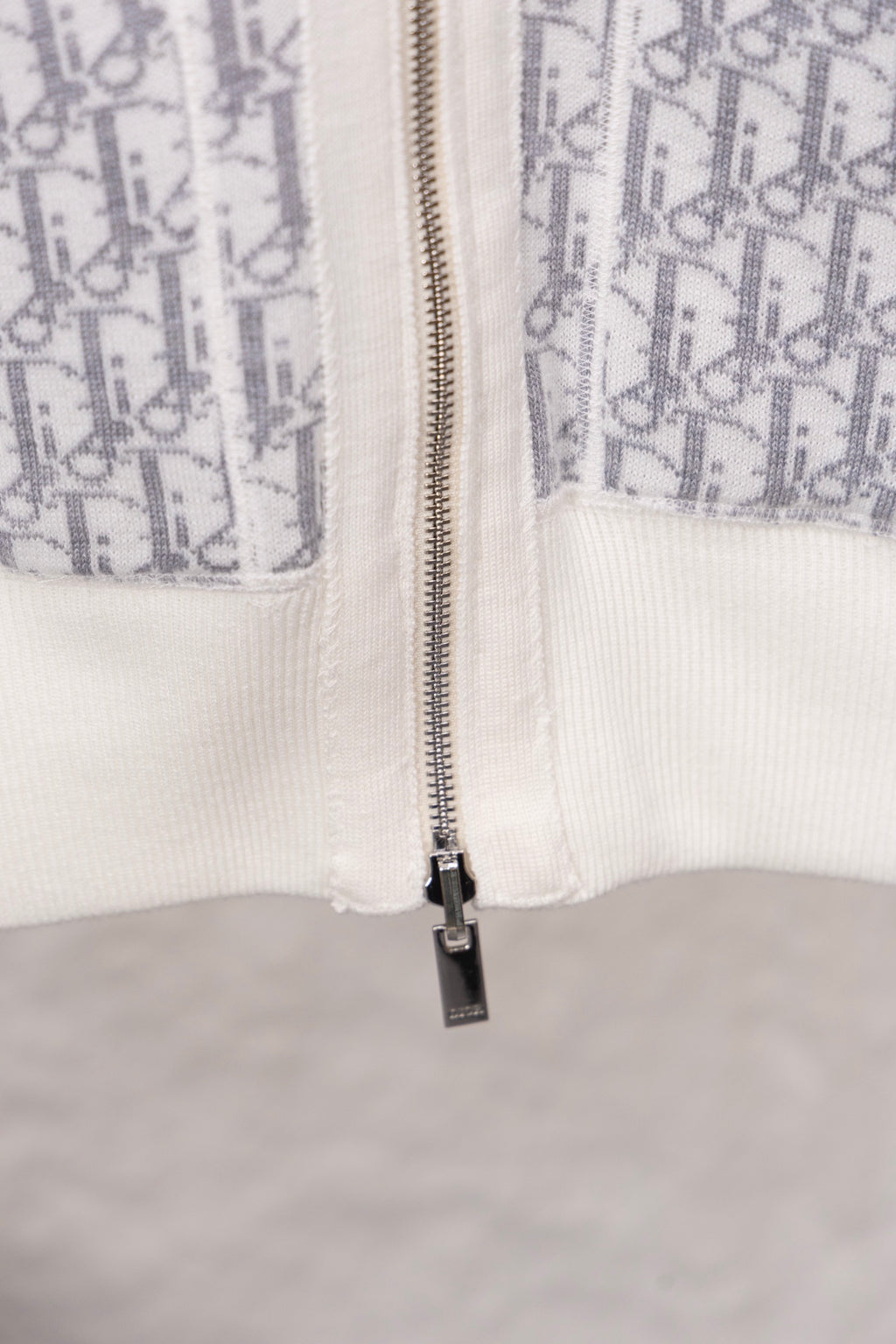 Dior hoodie front with zipper and blue logo-print yoke