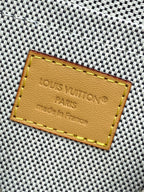 Louis Vuitton Bags