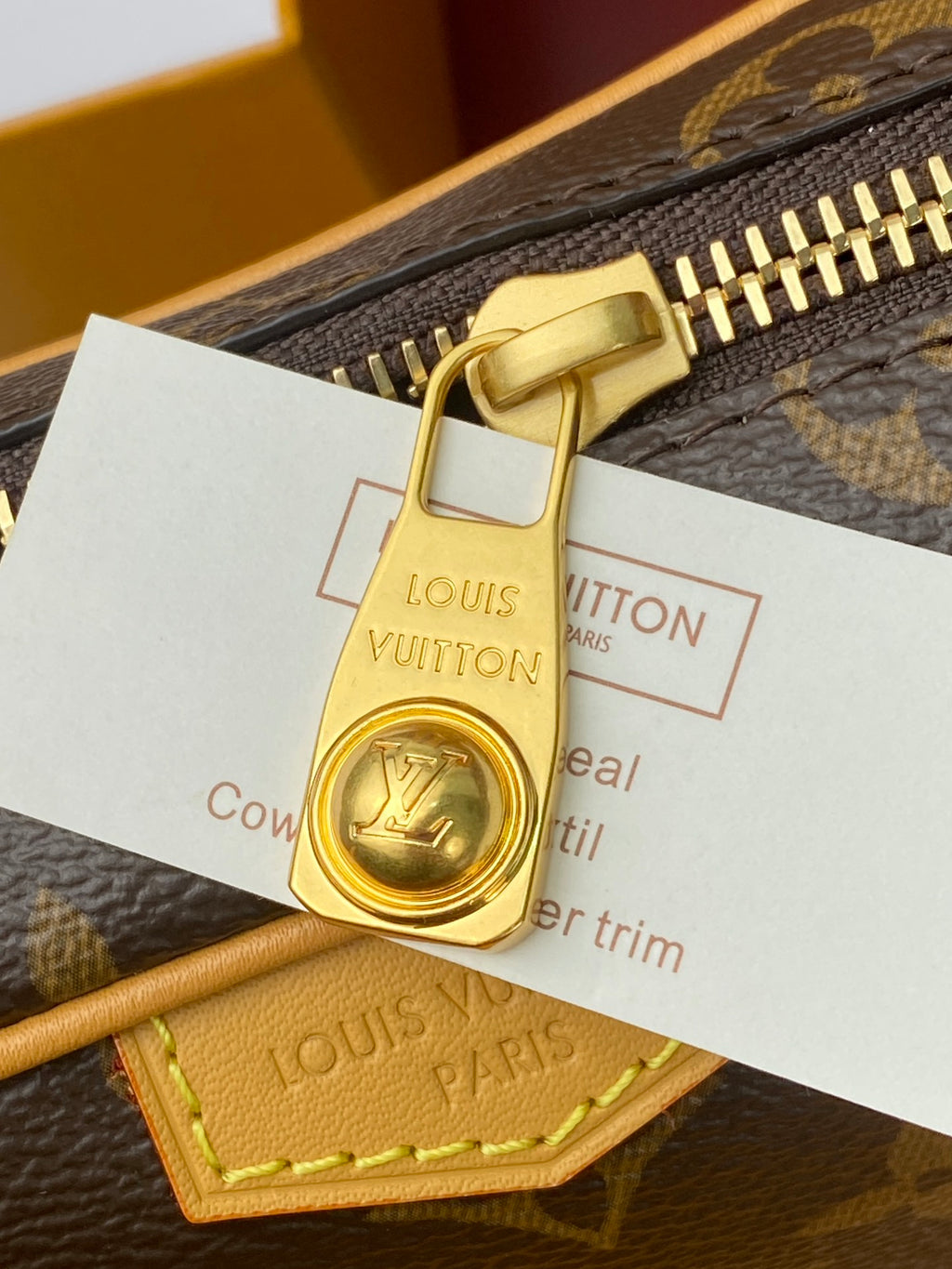 Louis Vuitton Bags