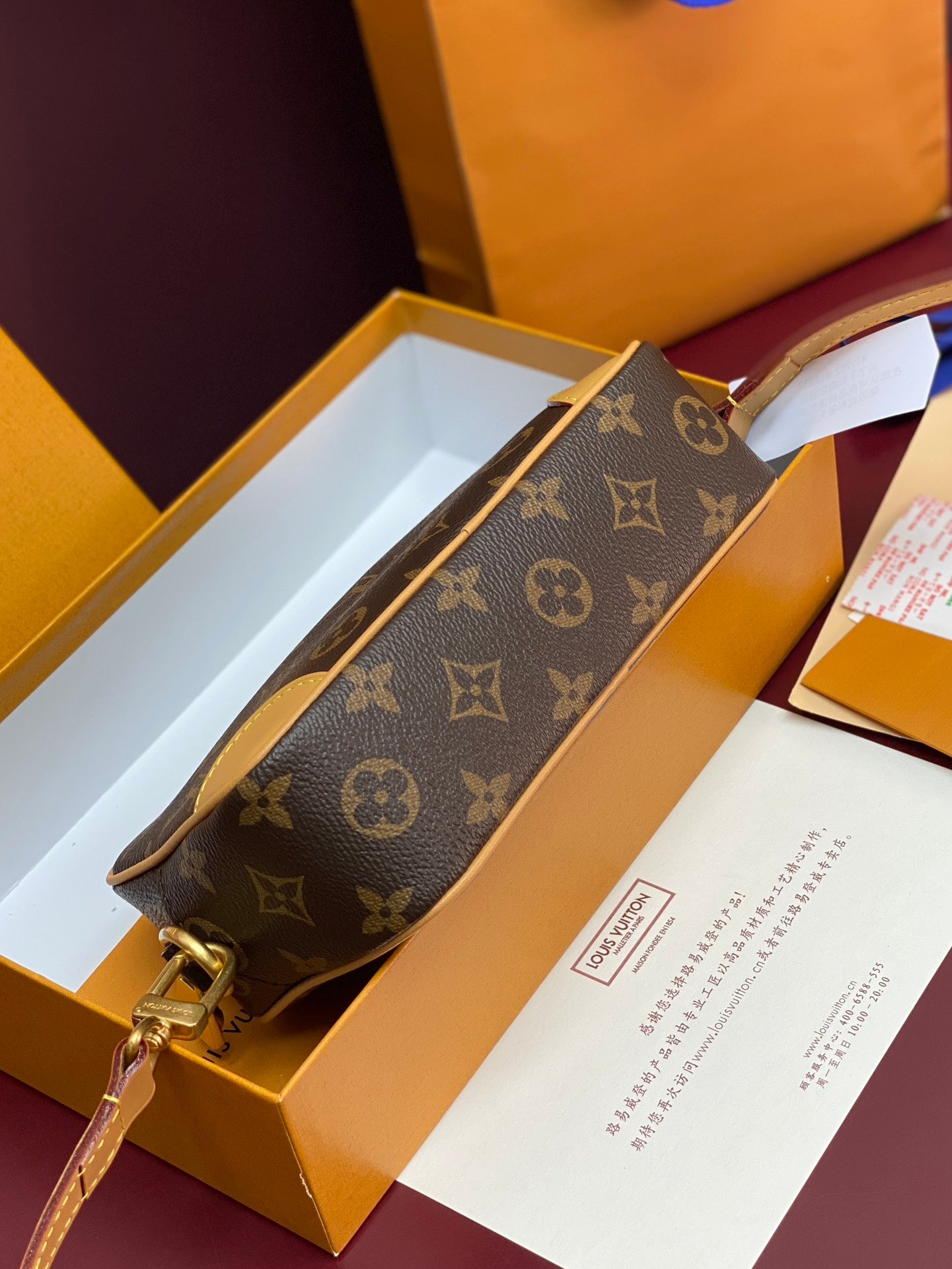 Louis Vuitton Bags