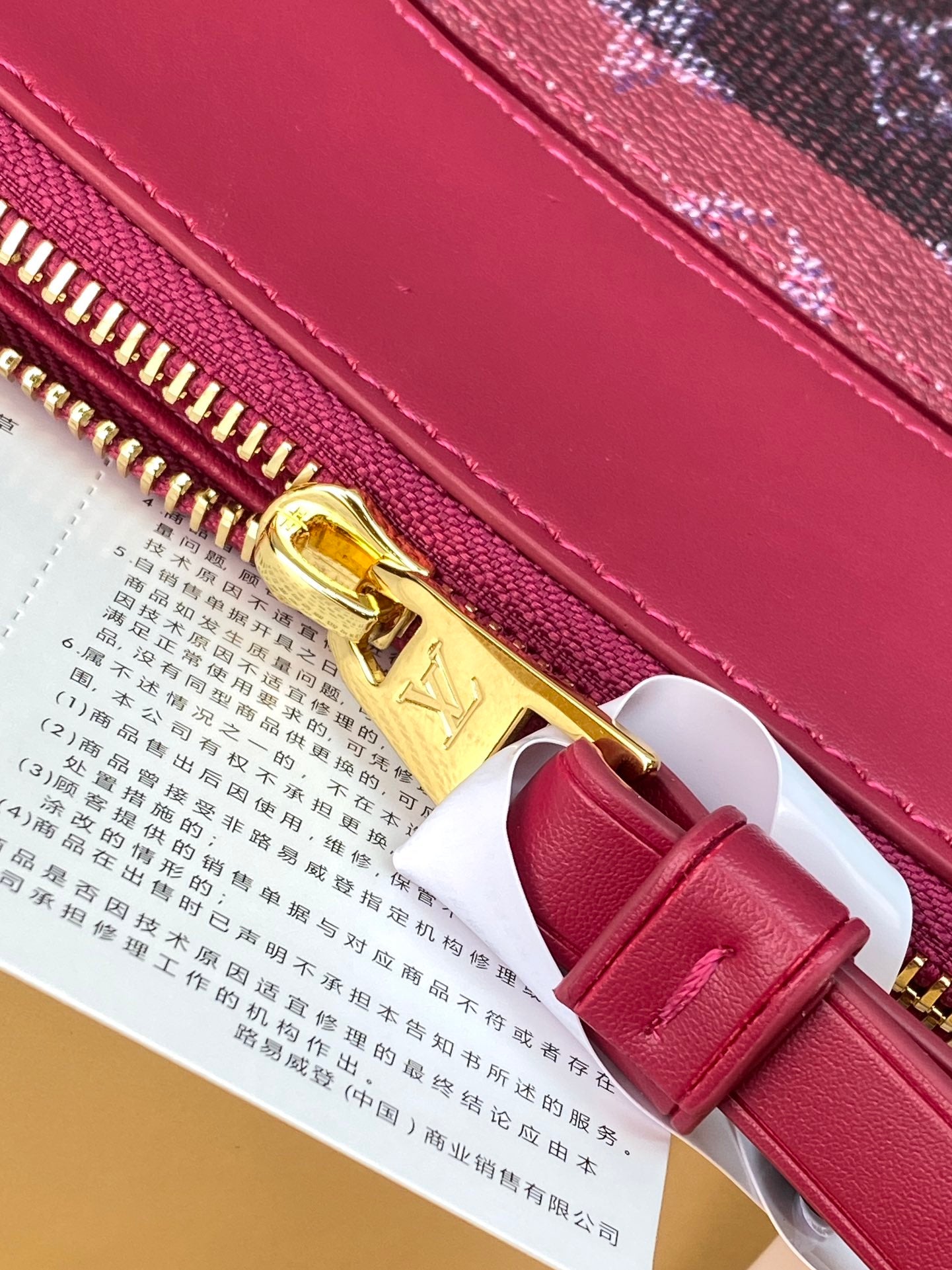 Louis Vuitton small bag in pink leather with gold zipper and buckle detail