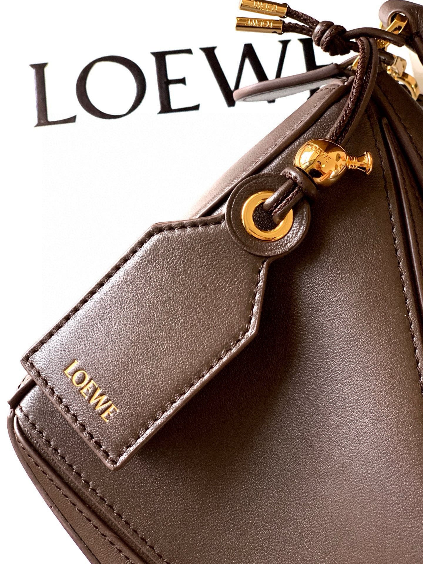 Brown leather mini bag with rope trim, gold clasp, and LOEWE label