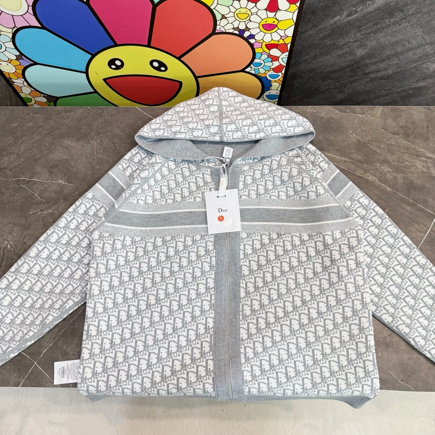 Light gray zip hoodie with repeating Dior logo print and hood with drawstring