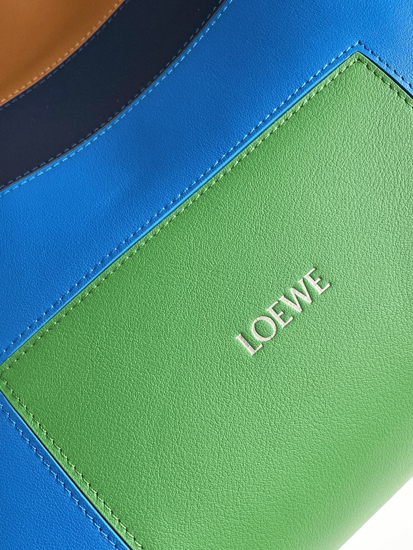Loewe bag detail of green leather panel bordered by blue with LOEWE branding
