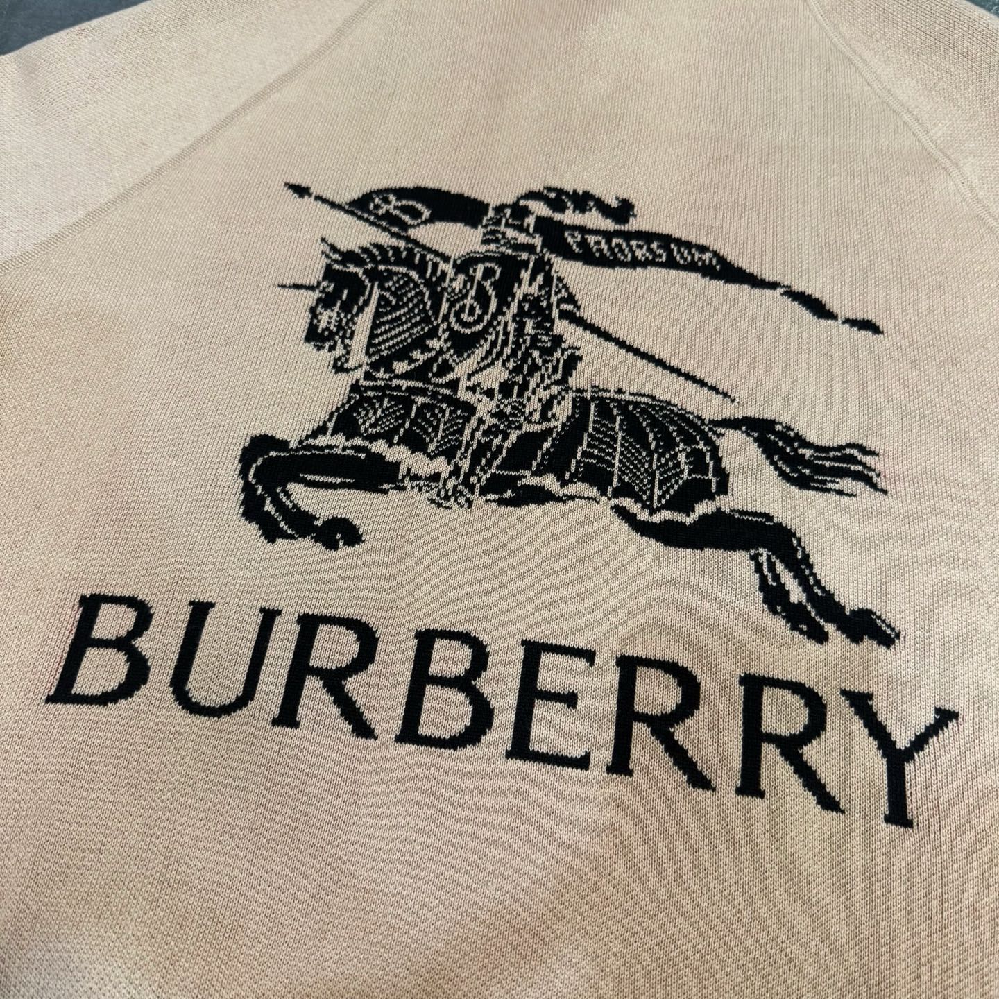 Beige fabric panel with black Burberry horse and lettering graphic