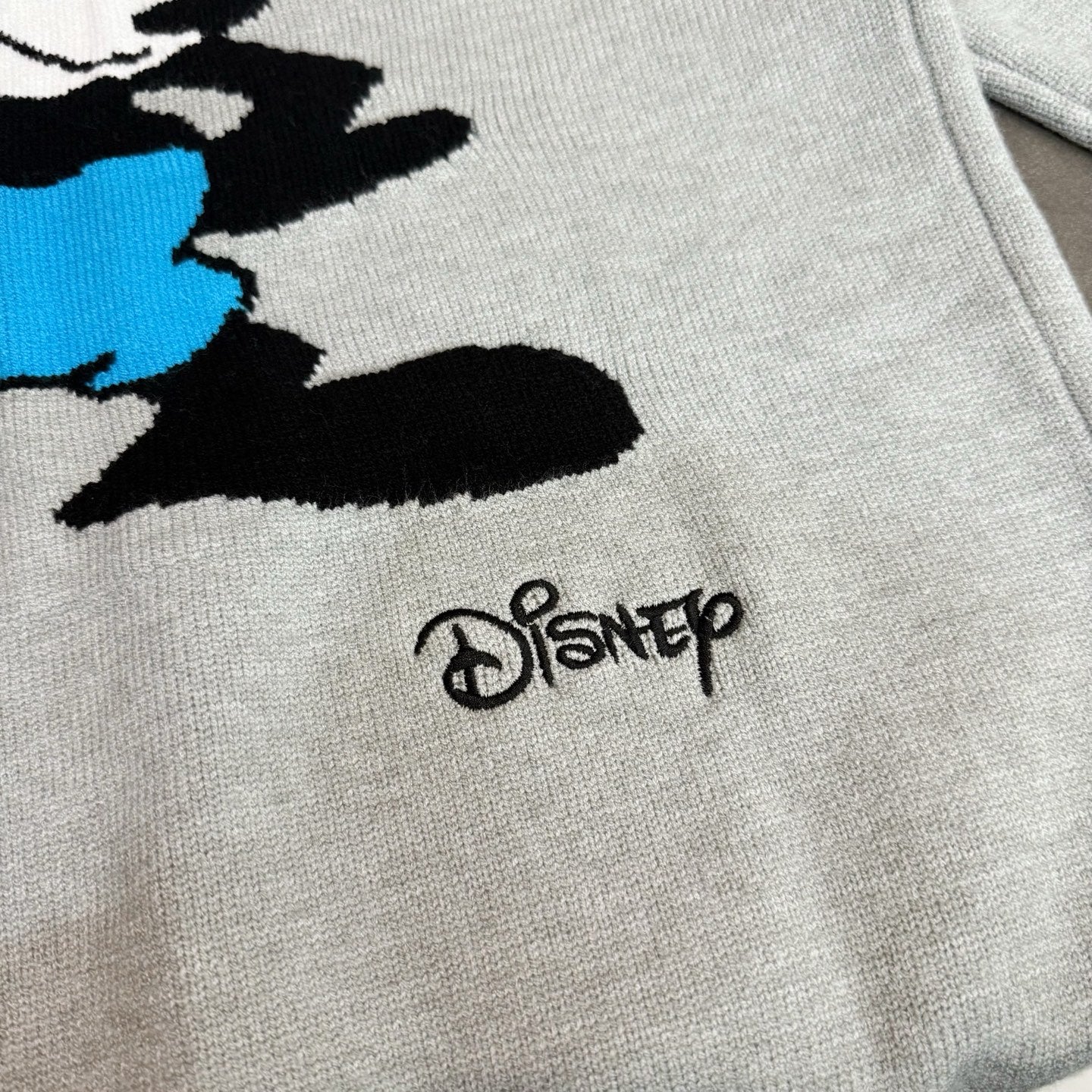 Light gray sweatshirt with Disney logo under a Mickey Mouse graphic on the back