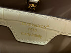 Louis Vuitton interior label: LOUIS VUITTON PARIS, made in italy