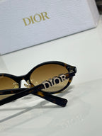 Dior sunglasses close-up: black temple with gold logo, oval lens edge visible.