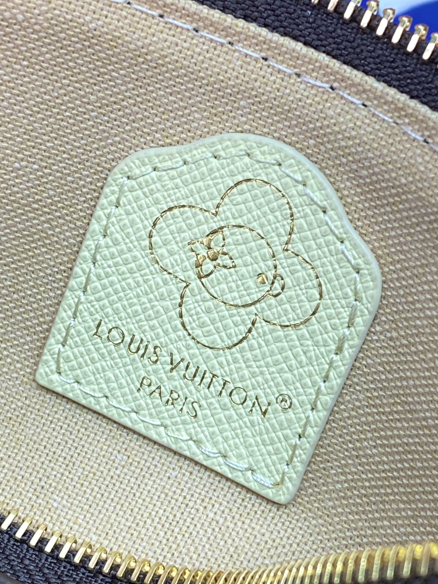 Louis Vuitton Bags