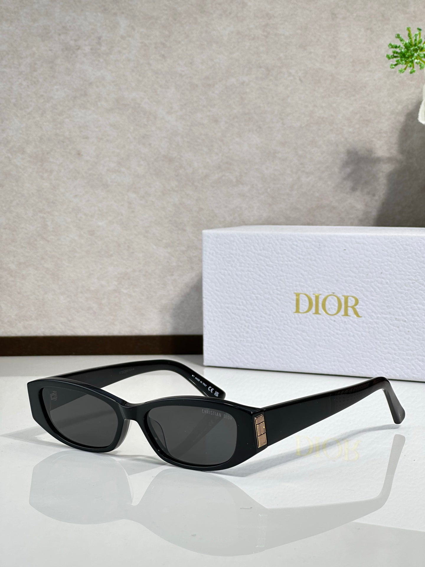 Dior Glasses