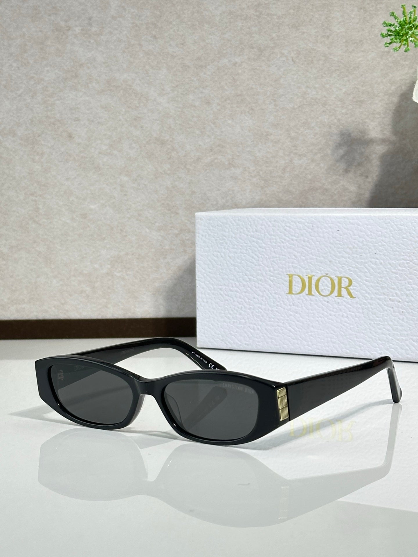 Dior Glasses