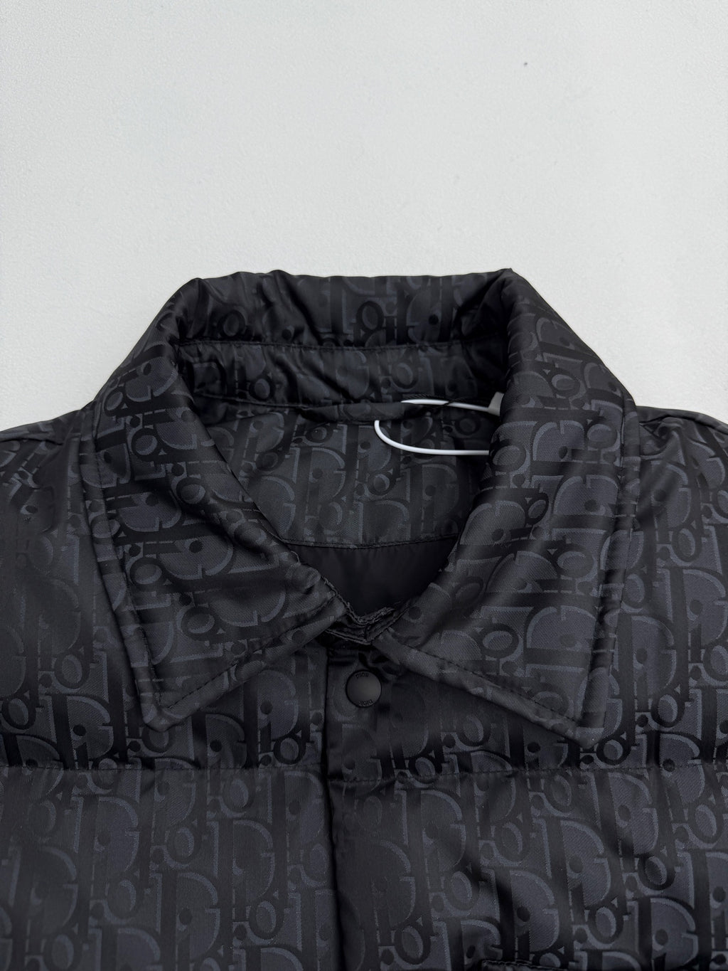 Dior long puffer jacket close-up at stand collar with dark monogram fabric