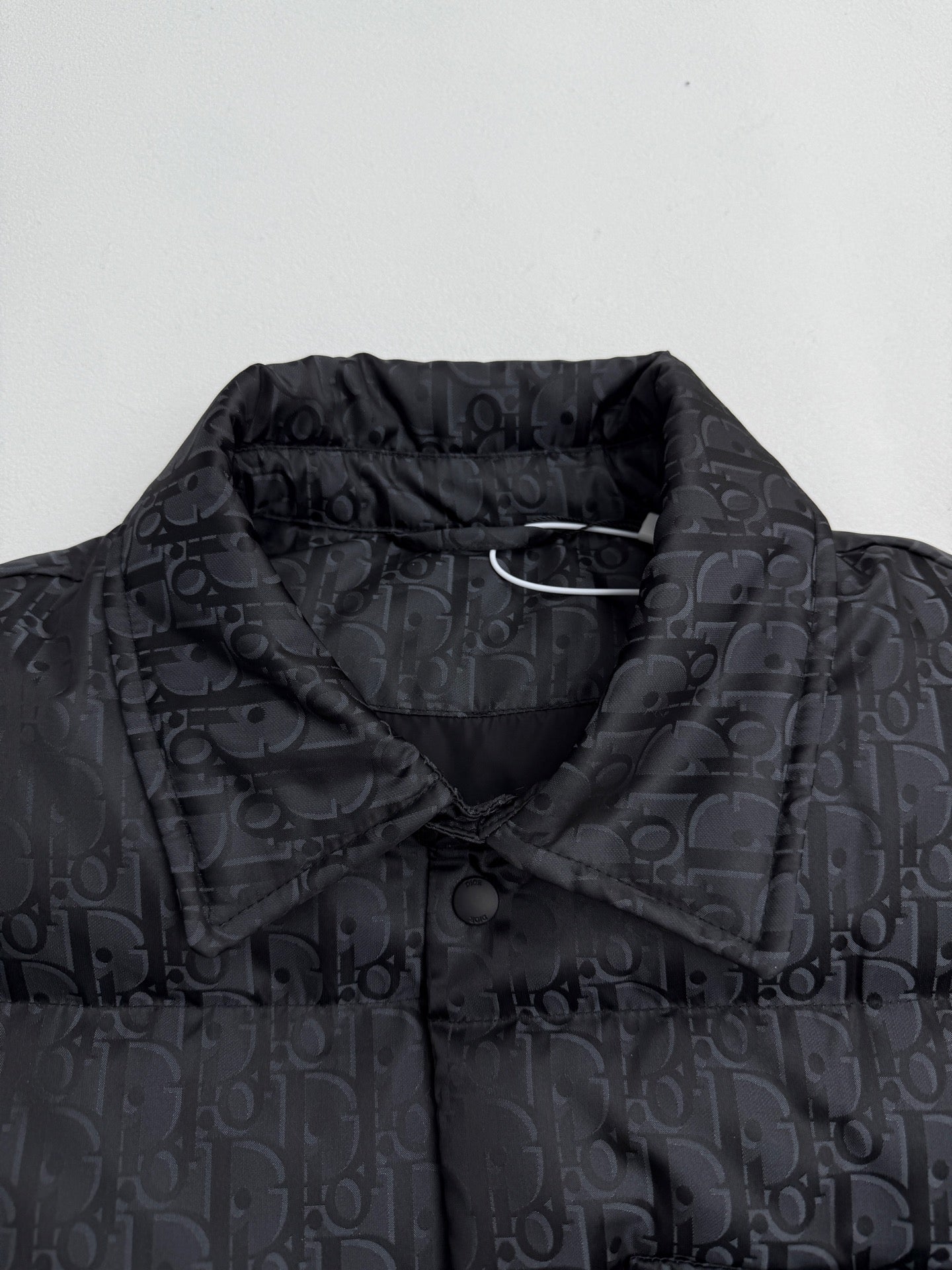 Dior long puffer jacket close-up at stand collar with dark monogram fabric