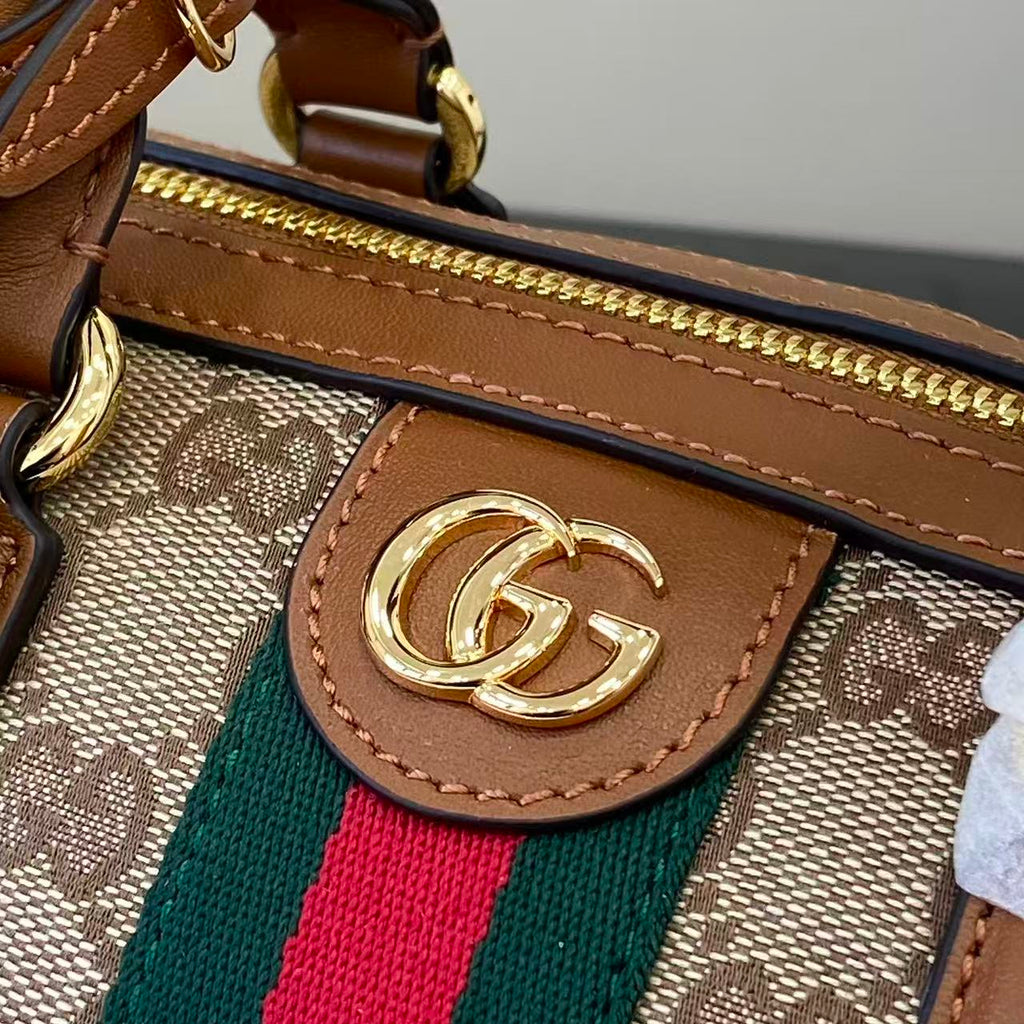 Gucci bag close-up: GG canvas with Gucci logo medallion, brown leather edge trim, zipper track