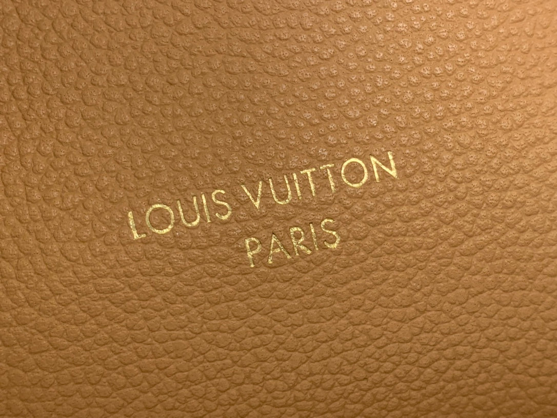 Louis Vuitton embossed leather panel with “LOUIS VUITTON PARIS” lettering.