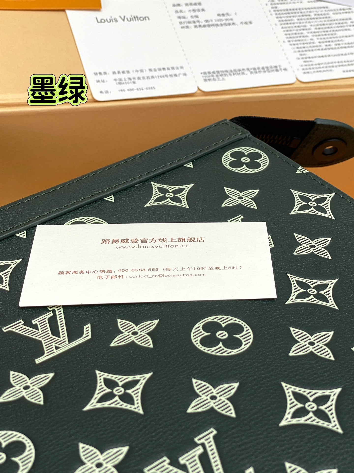 Louis Vuitton Bags