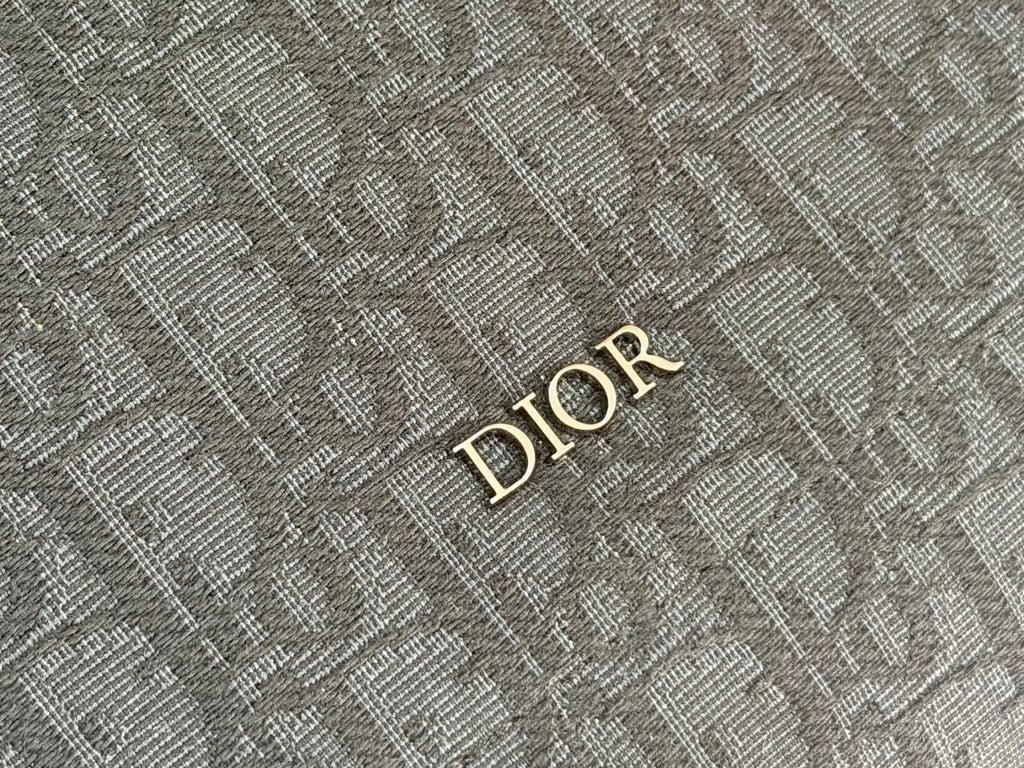 DIOR fabric panel with raised logo letters