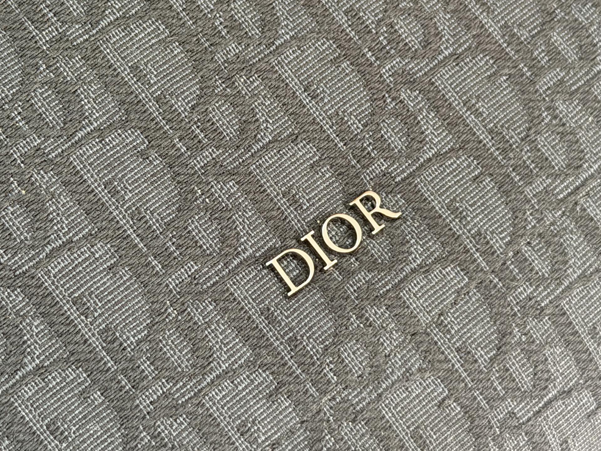 Dior Bags