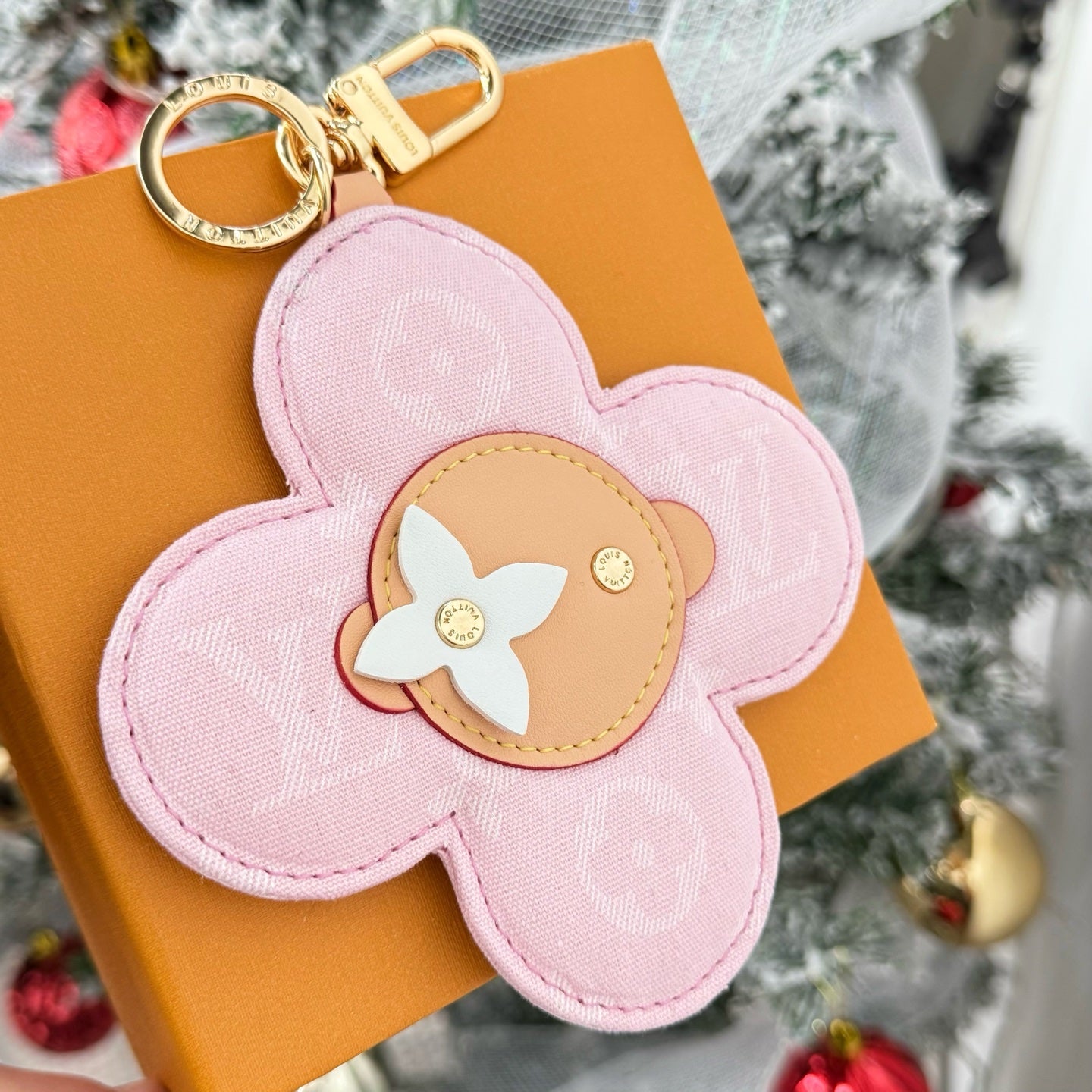 Louis Vuitton Accessories