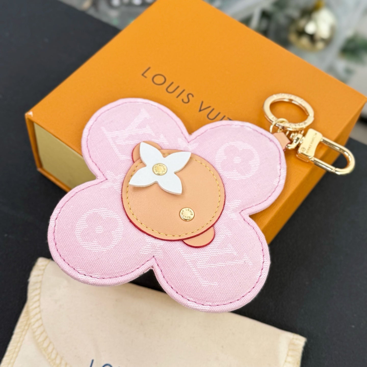 Louis Vuitton Accessories