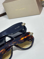 Navy and brown sunglasses with gold logo medallion and tinted lenses